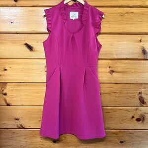 Anthropology Tabitha Women A-Line Dress Ruffled Casual Berry Pink Sleeveless 12